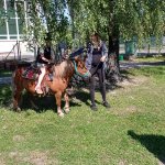 phoca_thumb_m_ponk 87 Fotogalerie